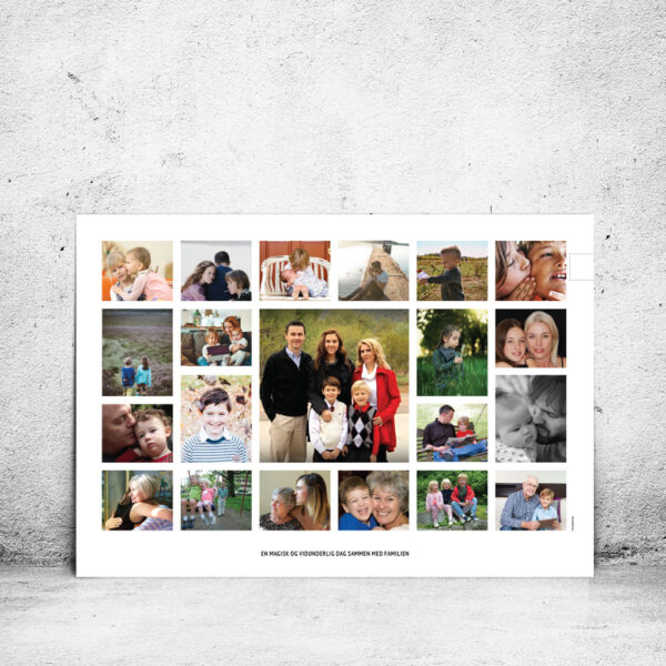 FOT-DS220-plakat-id-100x70cm-21-farver-hvid