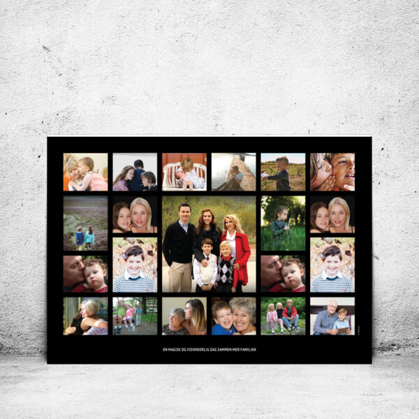 FOT-DS220-plakat-id-100x70cm-21-farver-sort