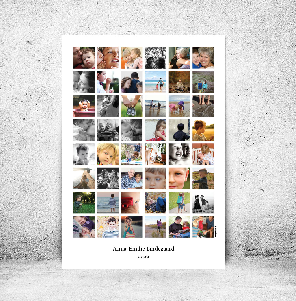 FOT-DS35-plakat-id-70x100cm-48-farver-hvid