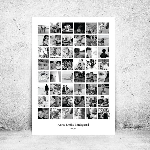 FOT-DS35-plakat-id-70x100cm-48-sorthvid-hvid