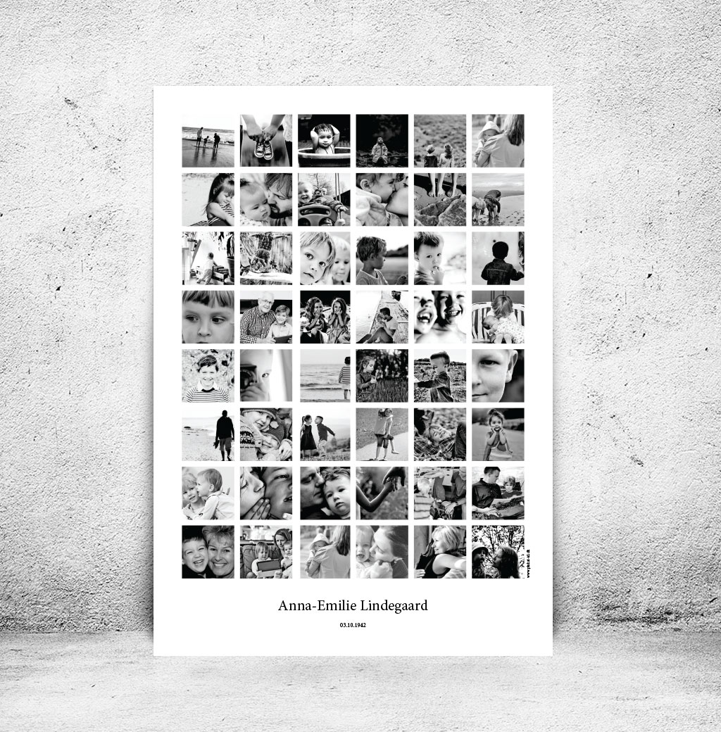 FOT-DS35-plakat-id-70x100cm-48-sorthvid-hvid