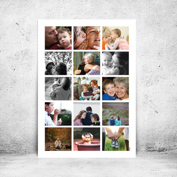 FOT-DS02-plakat-id-70x100cm-15-farver-hvid