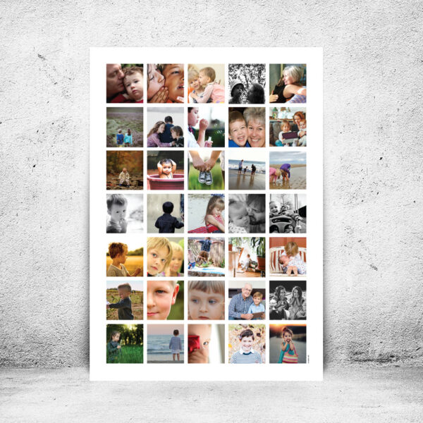 FOT-DS04-plakat-id-70x100cm-35-farver-hvid