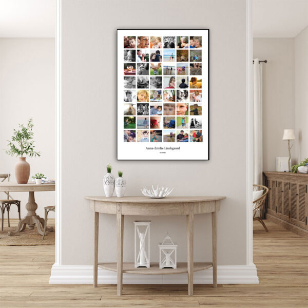 FOT-DS35-plakat-id-70x100cm-48-farver-hvid