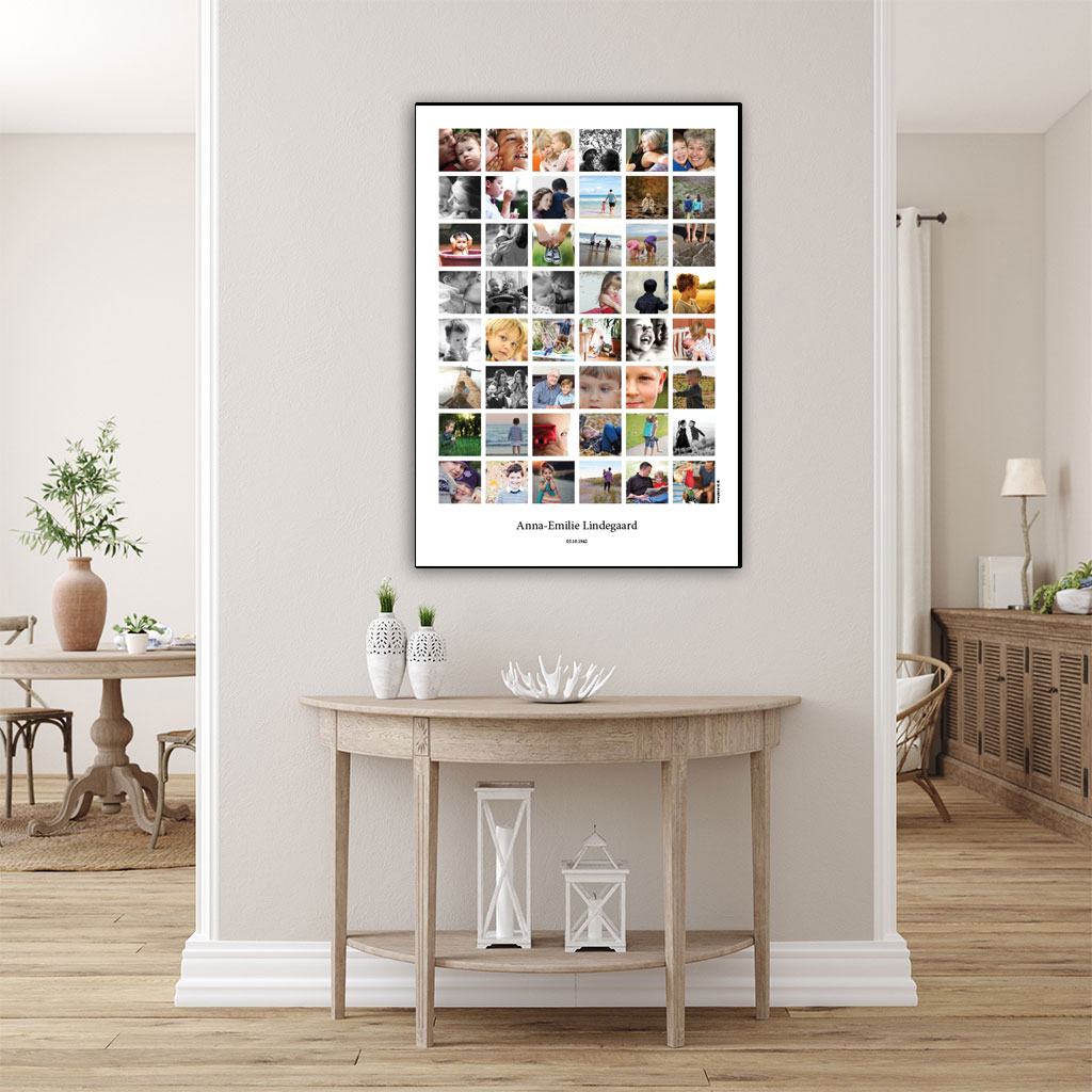 FOT-DS35-plakat-id-70x100cm-48-farver-hvid