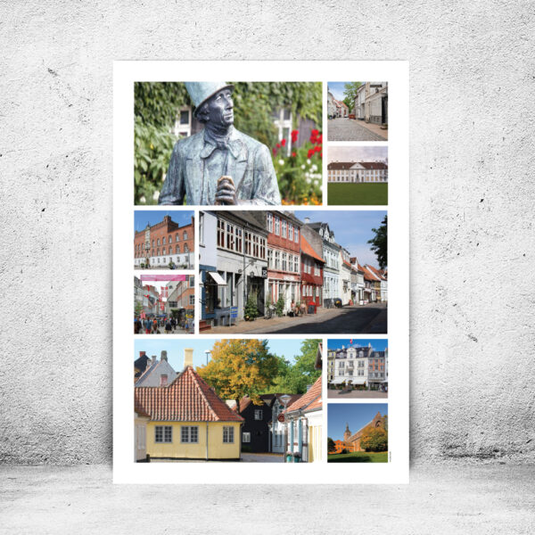 FOT-DS258-plakat-id-70x100cm-9-hvid