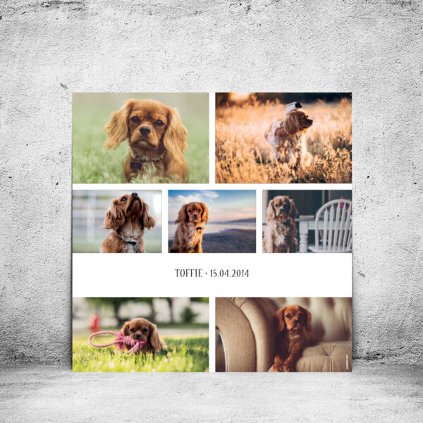 FOT-DS339-plakater-id-farver-50x50cm-3-hvid