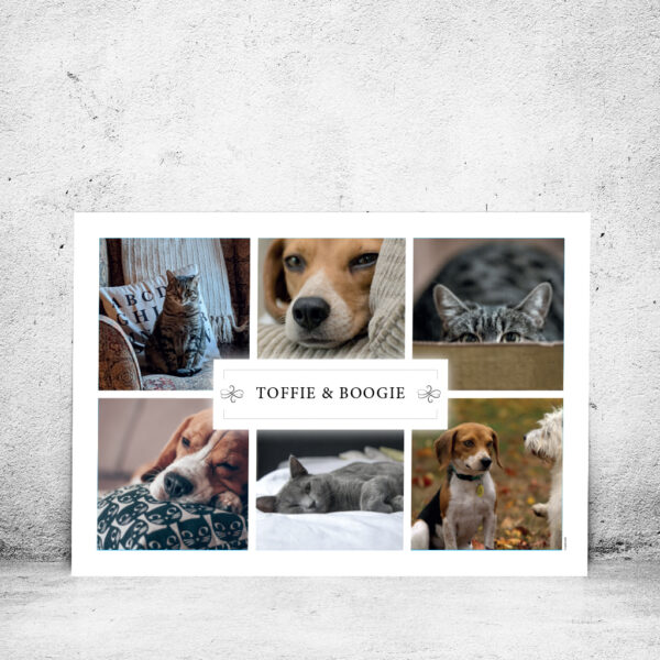 FOT-DS242-plakat-id-farver-100x70cm-1-hvid