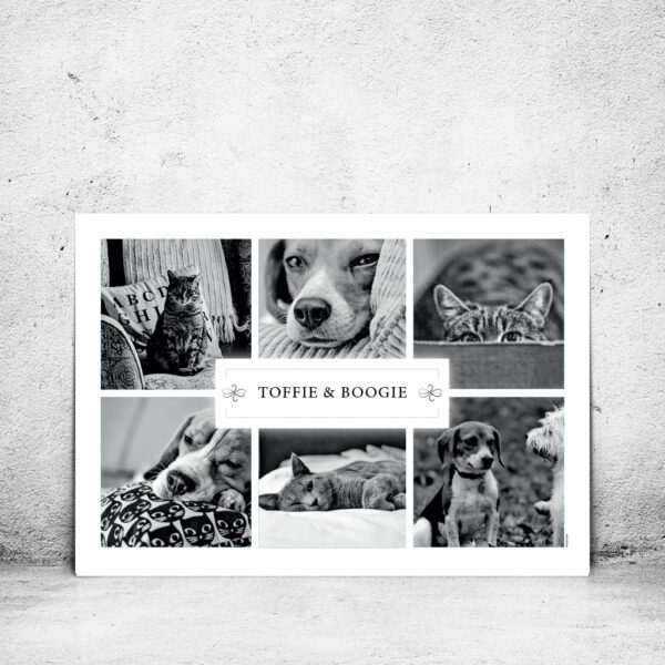 FOT-DS242-plakat-id-hdr-100x70cm-1-hvid
