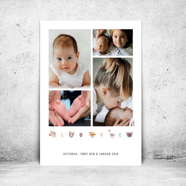BØR-DS494-plakatcompagniet-4-fotos-i-boernefotoplakat-i-farver