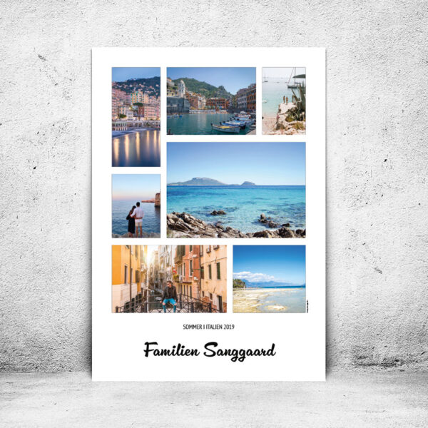 14316-14335-DS227-plakat-id-farver-7-hvid