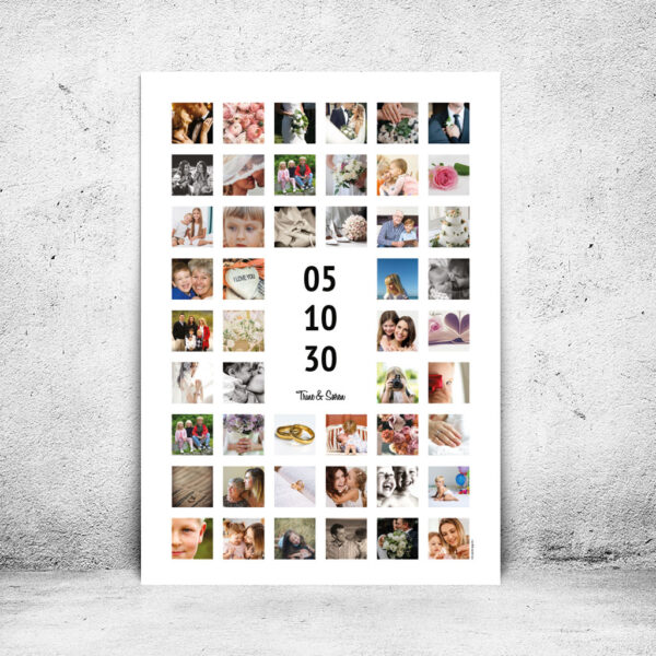 FOT-DS252-plakat-id-70x100cm-48-farver-hvid