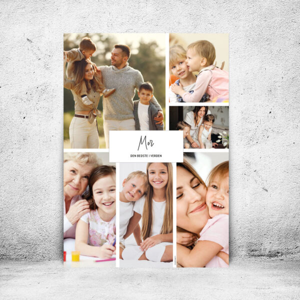 FOT-DS305-plakat-id-70x100cm-6-farver-hvid