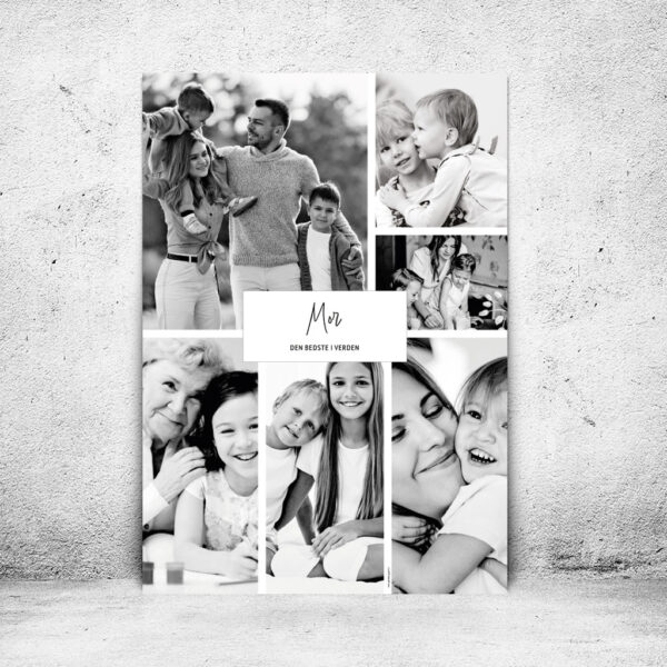 FOT-DS305-plakat-id-70x100cm-6-sorthvid-hvid