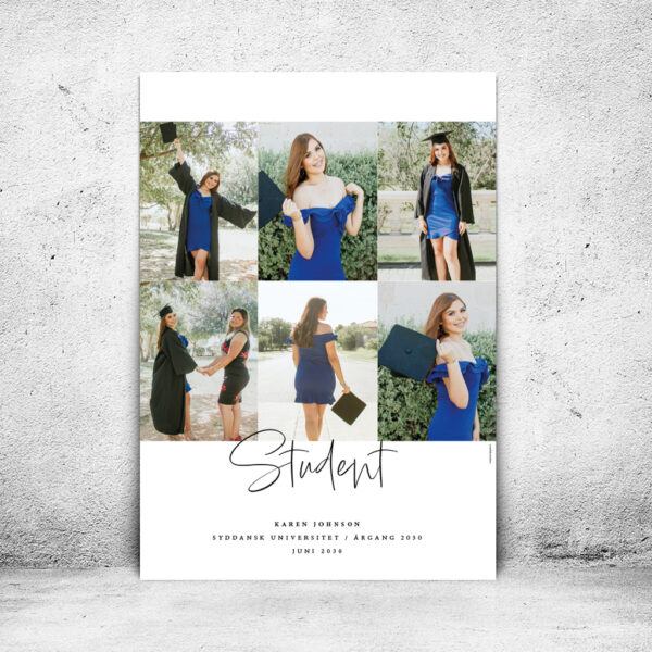 FOT-DS309-plakat-id-70x100cm-6-farver-hvid