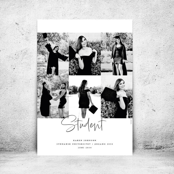 FOT-DS309-plakat-id-70x100cm-6-sorthvid-hvid