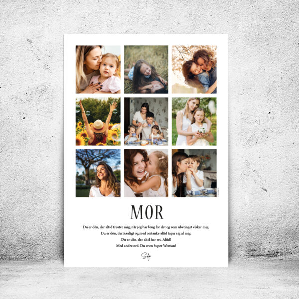FOT-DS312-plakat-id-70x100cm-9-farver-hvid