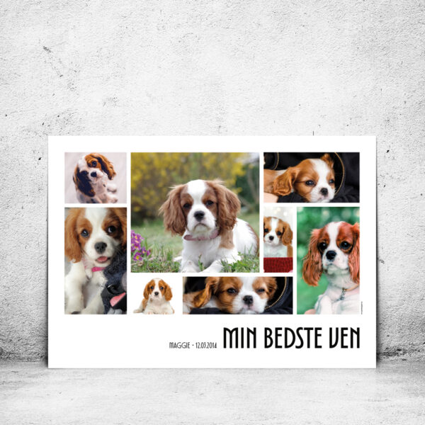 FOT-DS332-plakat-id-100x70cm-8-farver-hvid
